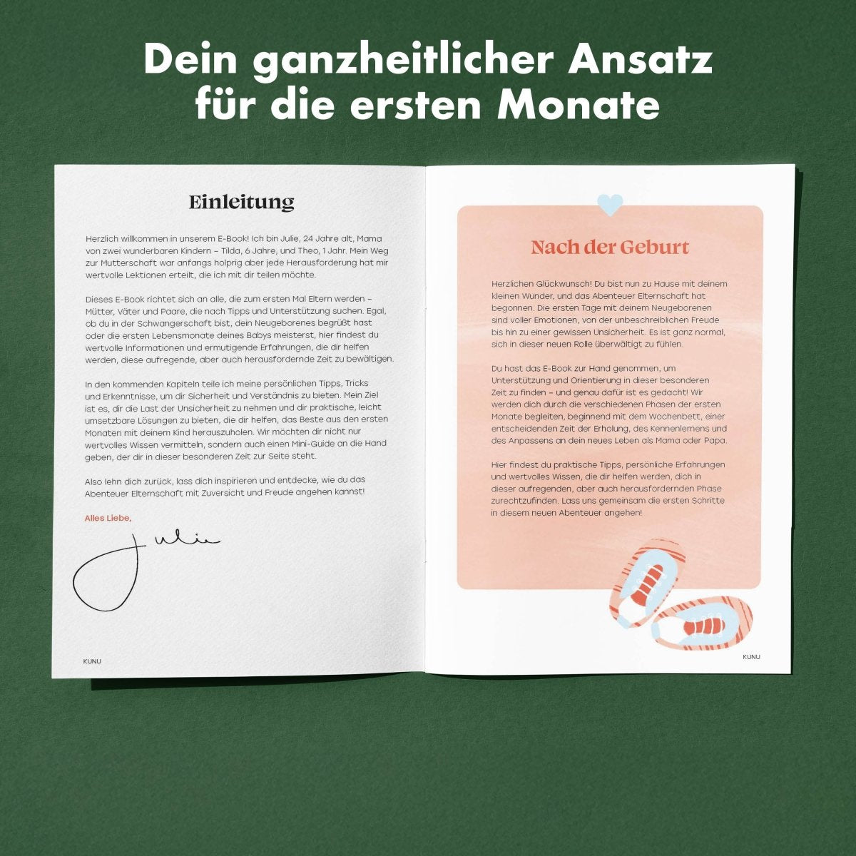 Dein Begleiter durch die ersten Monate - Ebook
