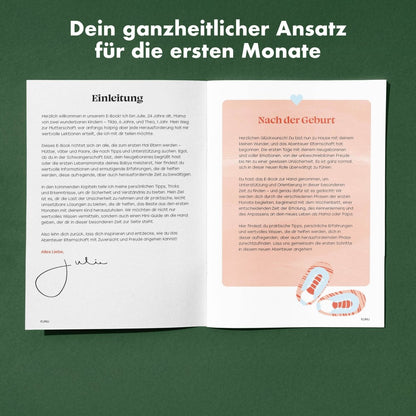 Dein Begleiter durch die ersten Monate - Ebook